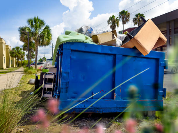 Best Demolition Debris Removal  in Lineville, AL